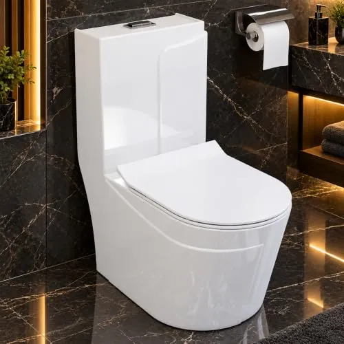 Plantex Commode for Toilet/Rimless 2D Siphonic Vacuume Flush/Western Commode with Soft Close Toilet Seat - S Trap (White)