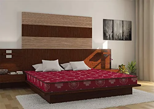 Centuary Mattresses Dr. Sleep+ Orthopaedic Extra Firm Foam
