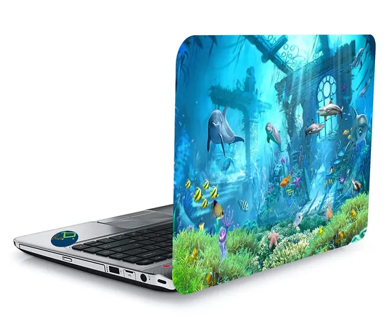 Laptop Skin